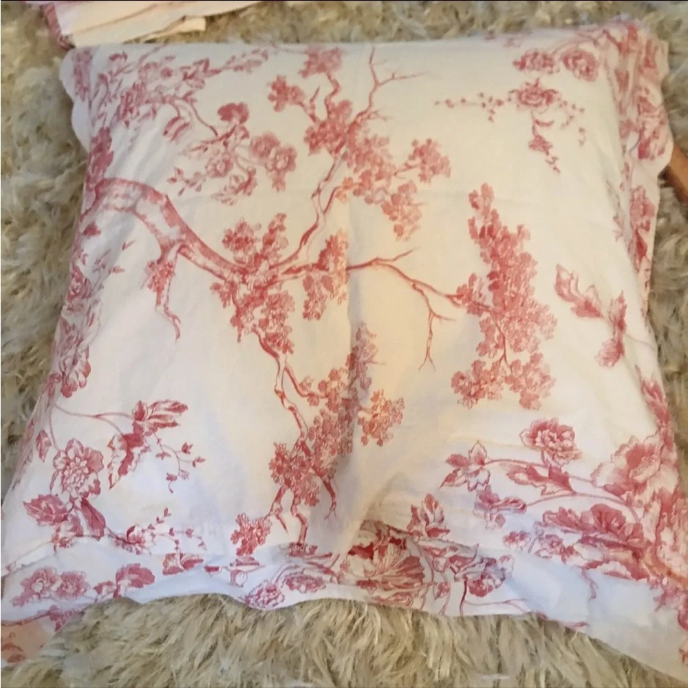 Pottery Barn euro